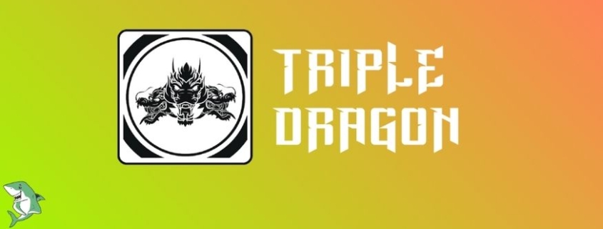 triple dragon funding review